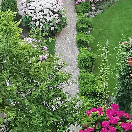 Daire Vukajlo Belgrad