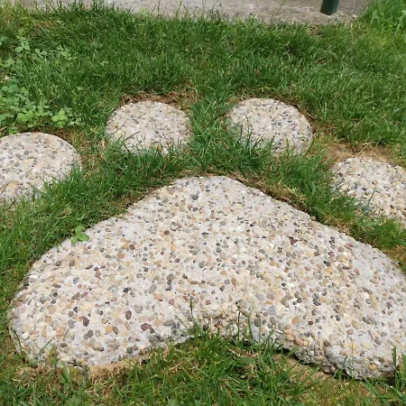 Daire Vukajlo Belgrad